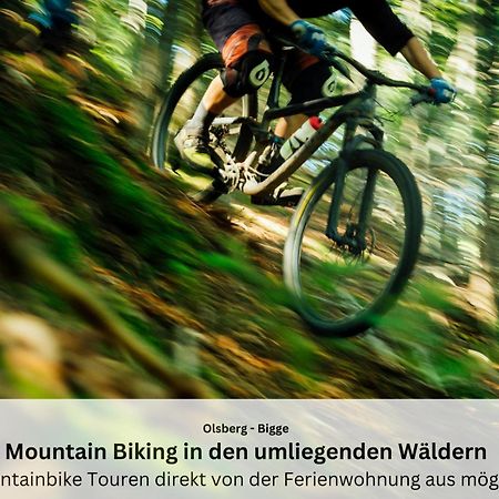 Ferienwohnungen Sauerland Und אולסברג מראה חיצוני תמונה