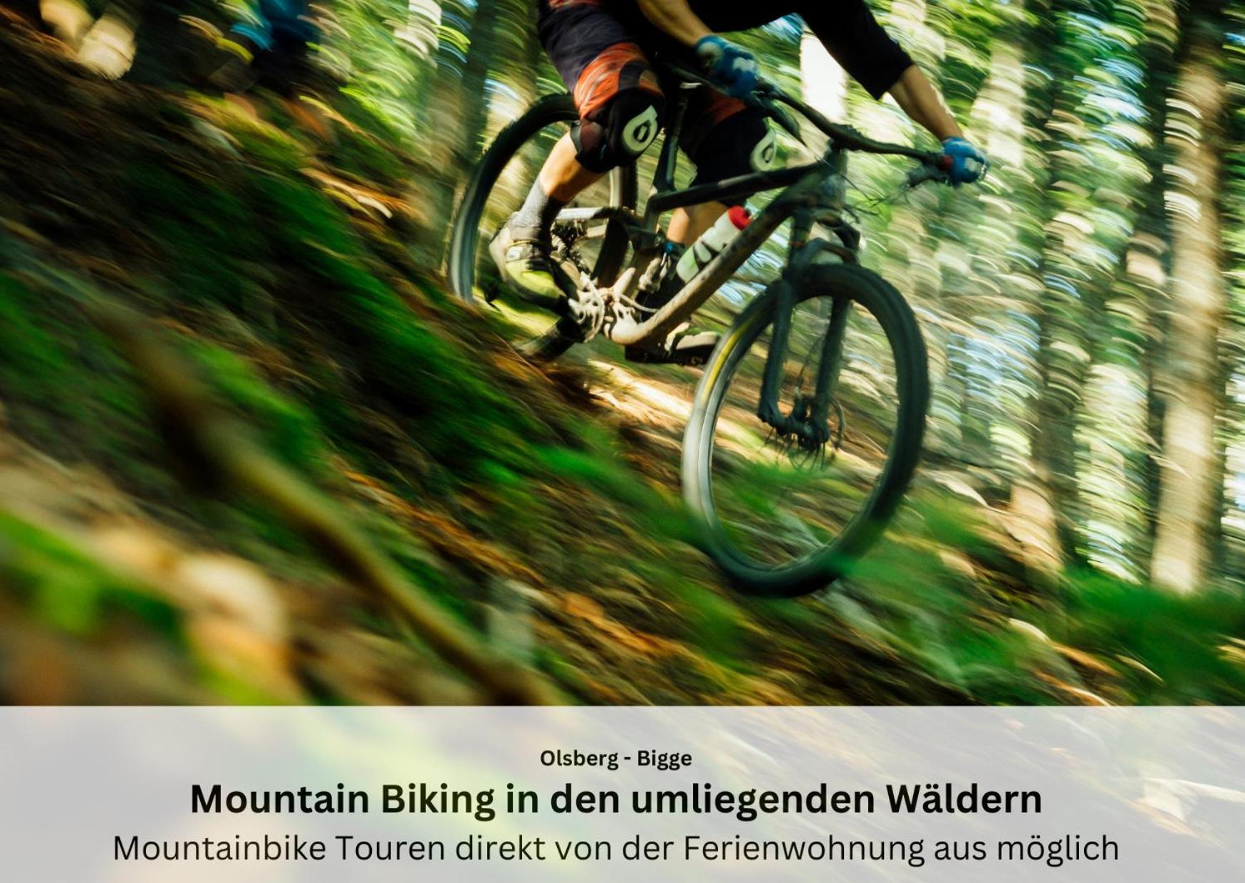 Ferienwohnungen Sauerland Und אולסברג מראה חיצוני תמונה