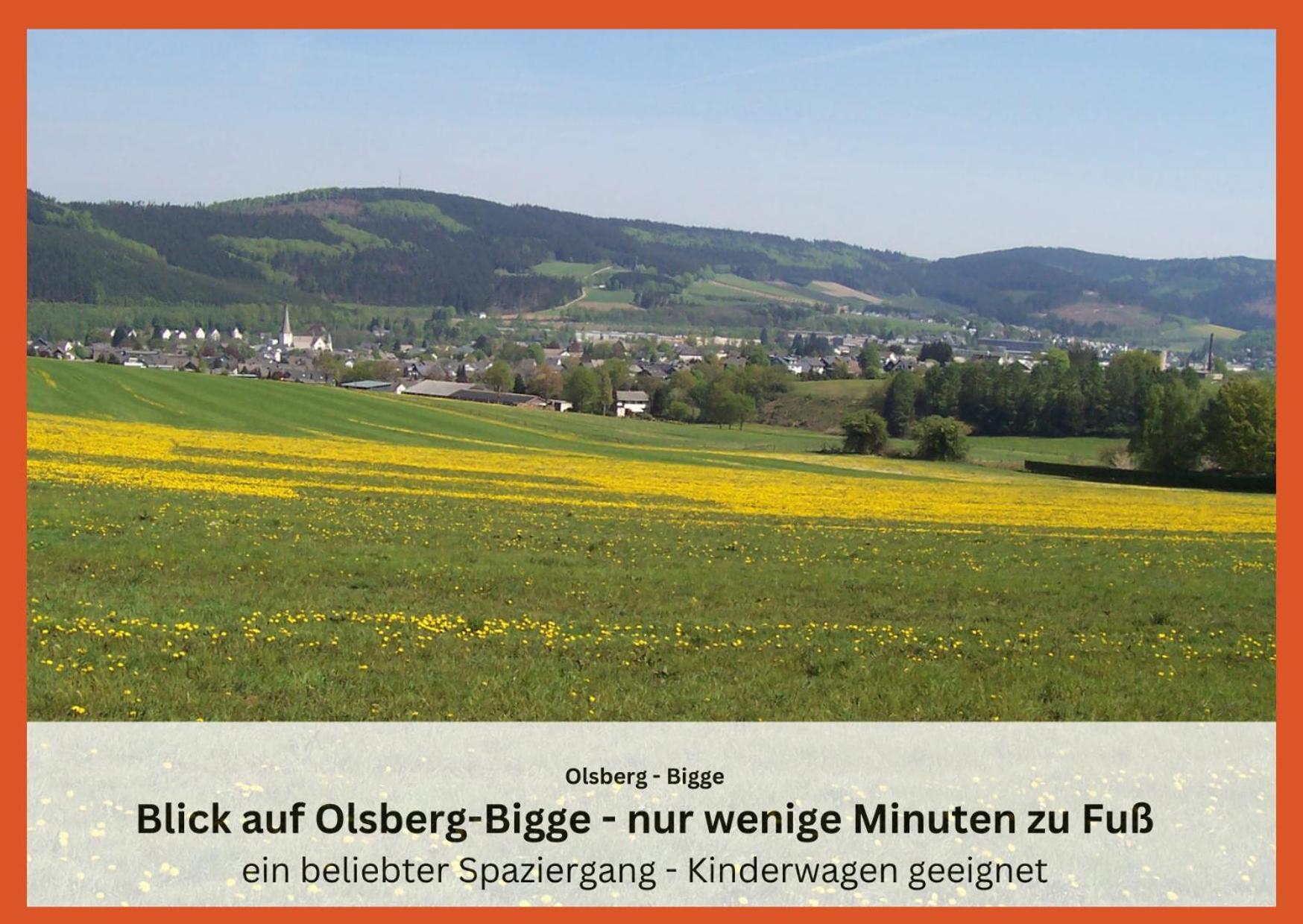Ferienwohnungen Sauerland Und אולסברג מראה חיצוני תמונה