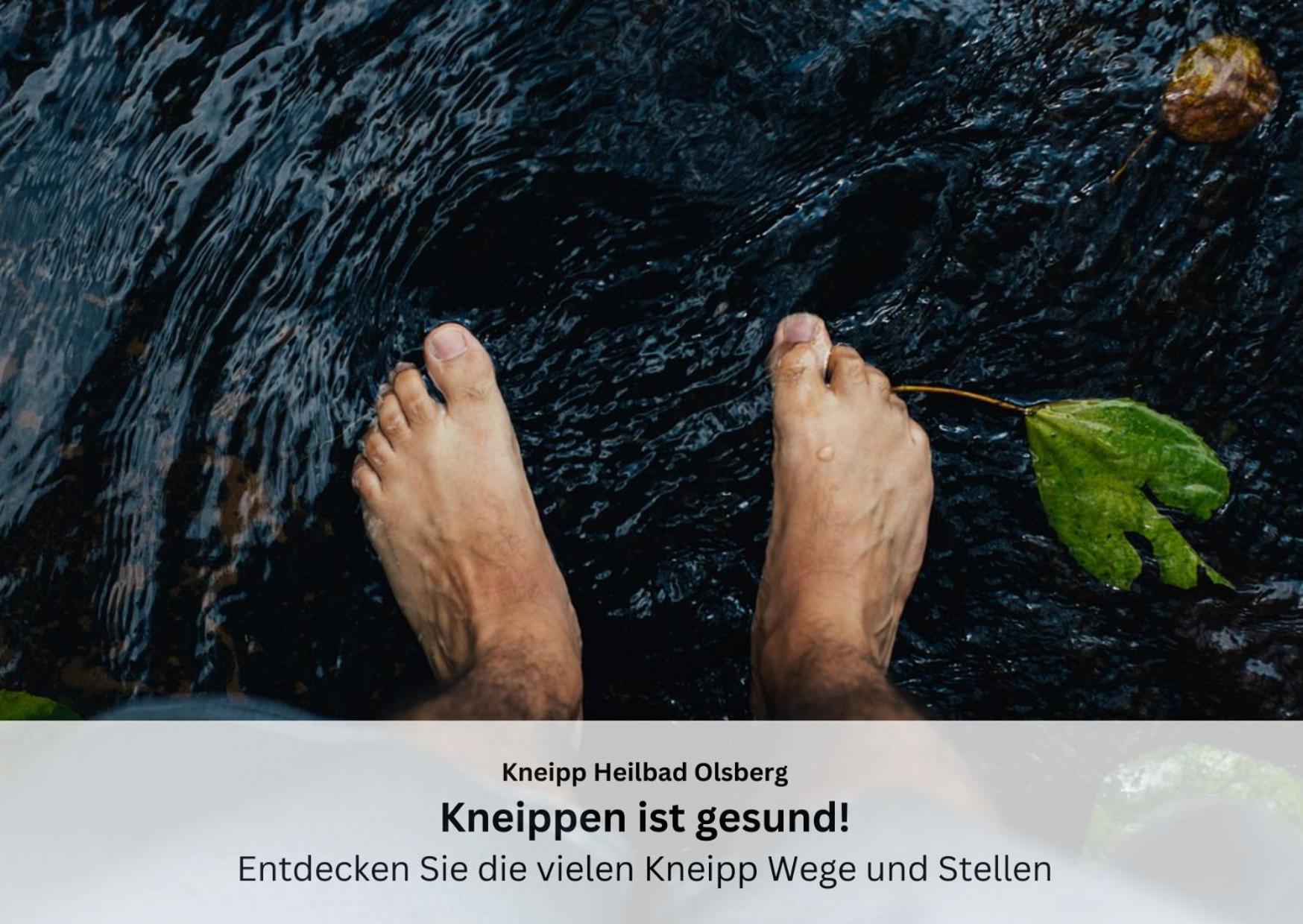 Ferienwohnungen Sauerland Und אולסברג מראה חיצוני תמונה