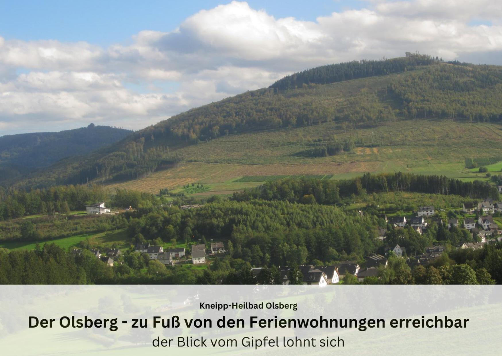 Ferienwohnungen Sauerland Und אולסברג מראה חיצוני תמונה