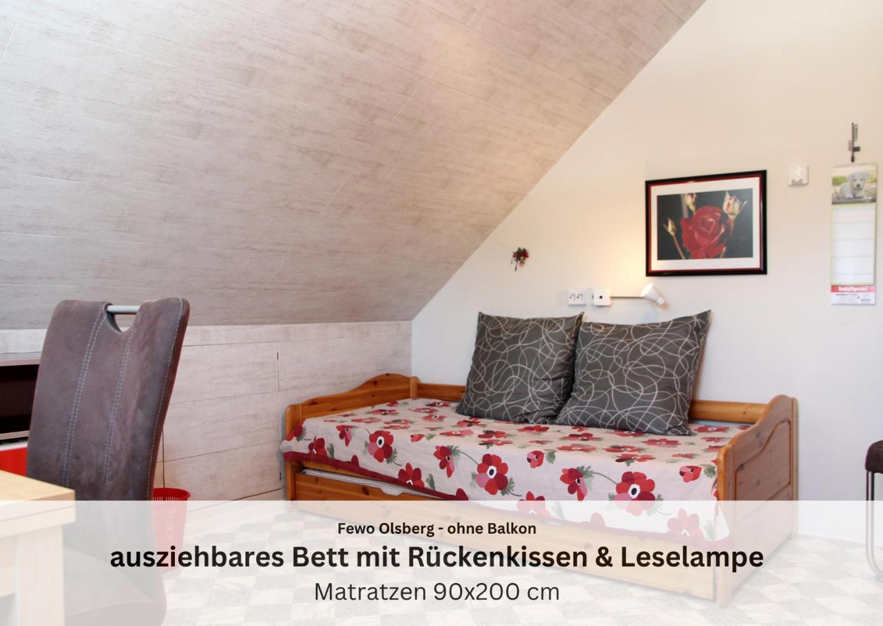 Ferienwohnungen Sauerland Und אולסברג מראה חיצוני תמונה