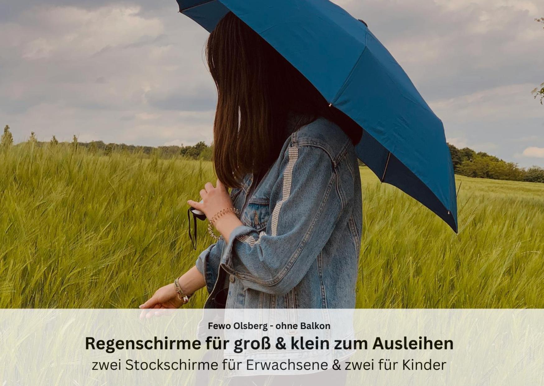 Ferienwohnungen Sauerland Und אולסברג מראה חיצוני תמונה