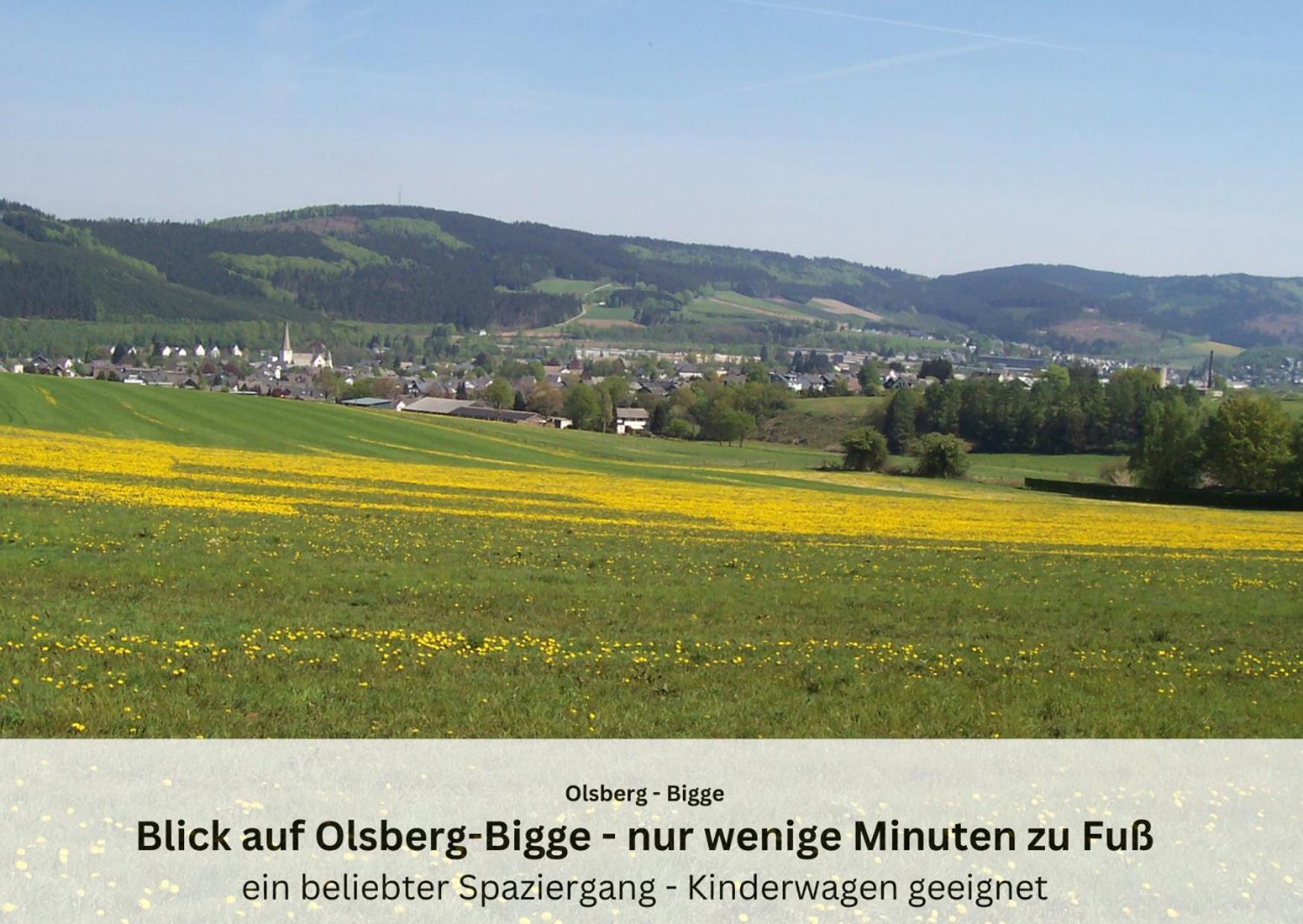 Ferienwohnungen Sauerland Und אולסברג מראה חיצוני תמונה
